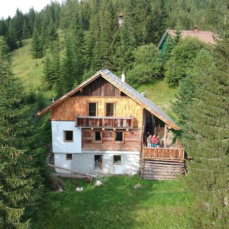 Ferienhaus Flattnitz المظهر الخارجي الصورة
